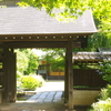 興禅院【紫陽花】