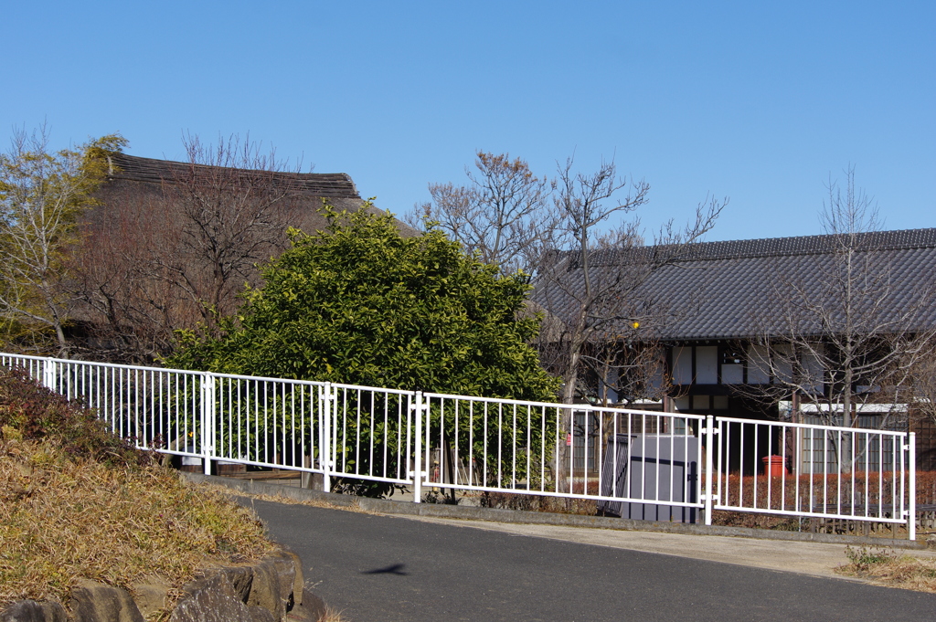 影が通る