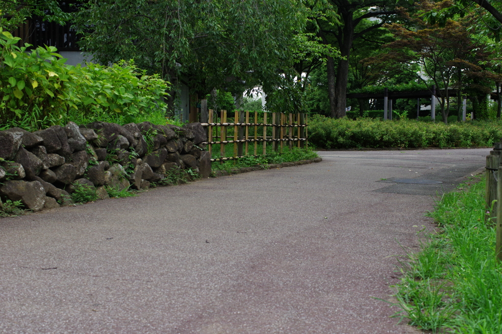 この先は左右にわかれます