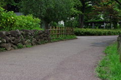この先は左右にわかれます