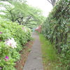 春