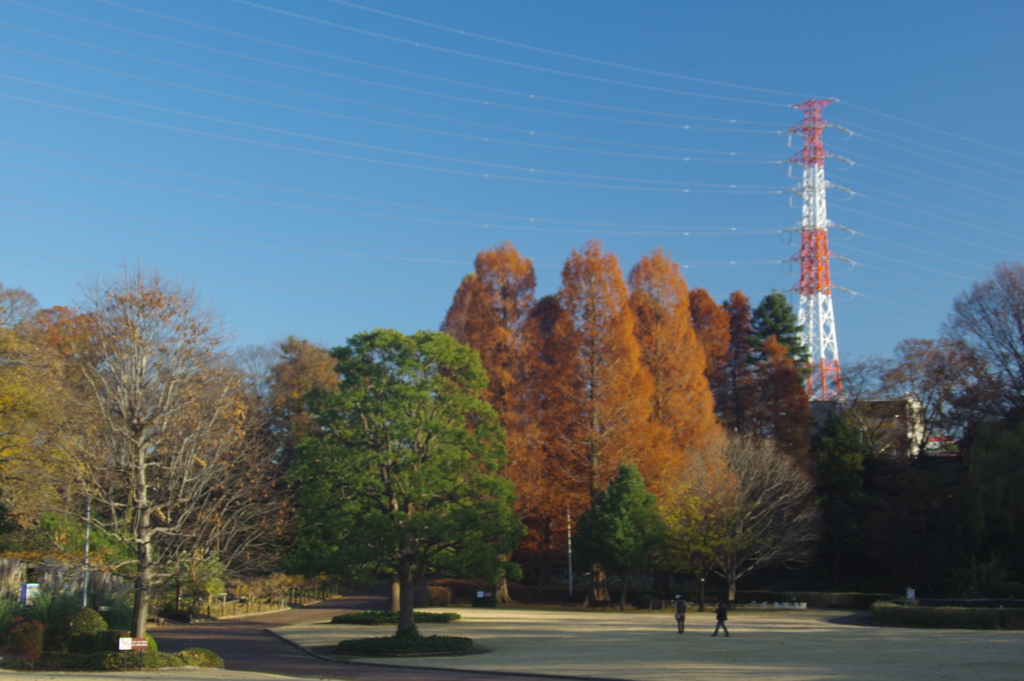 鉄塔と送電線