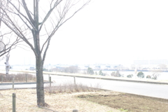 雪景色のようなハレーション