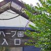 ここからです