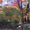 庭園美術館の庭　２