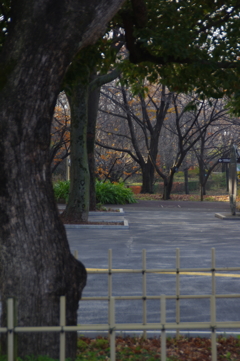 風景　２