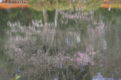 水面のアート