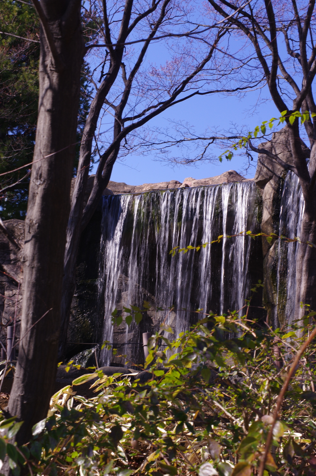 公園の滝　２０１６，１，１８　４