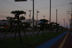 朝があける