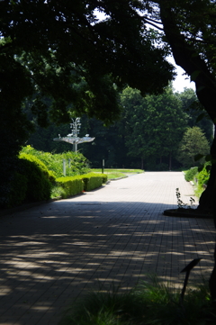 公園の遊歩道　２