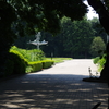 公園の遊歩道　２