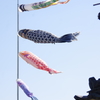 こいのぼり