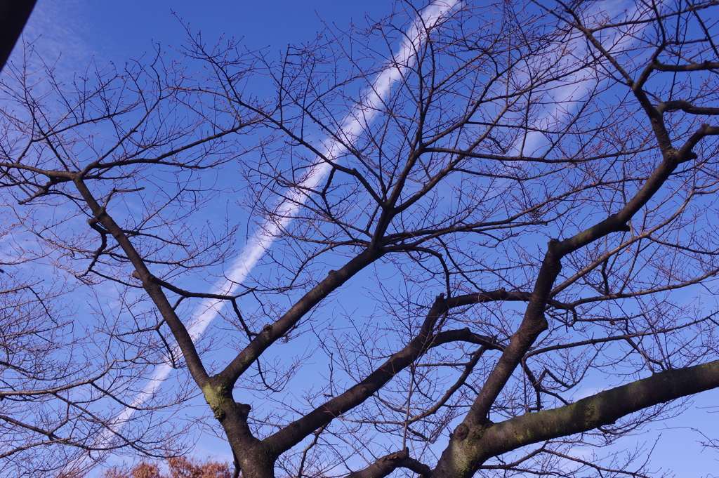 空　2016年12月