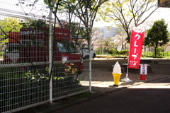 いらしゃい！
