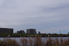 風景　2018年　12月