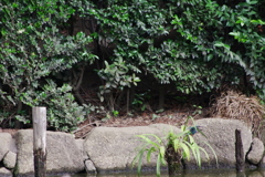 あれ？どこだー