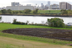 荒川土手からの風景