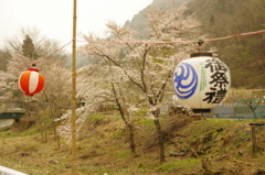 山里の風景２