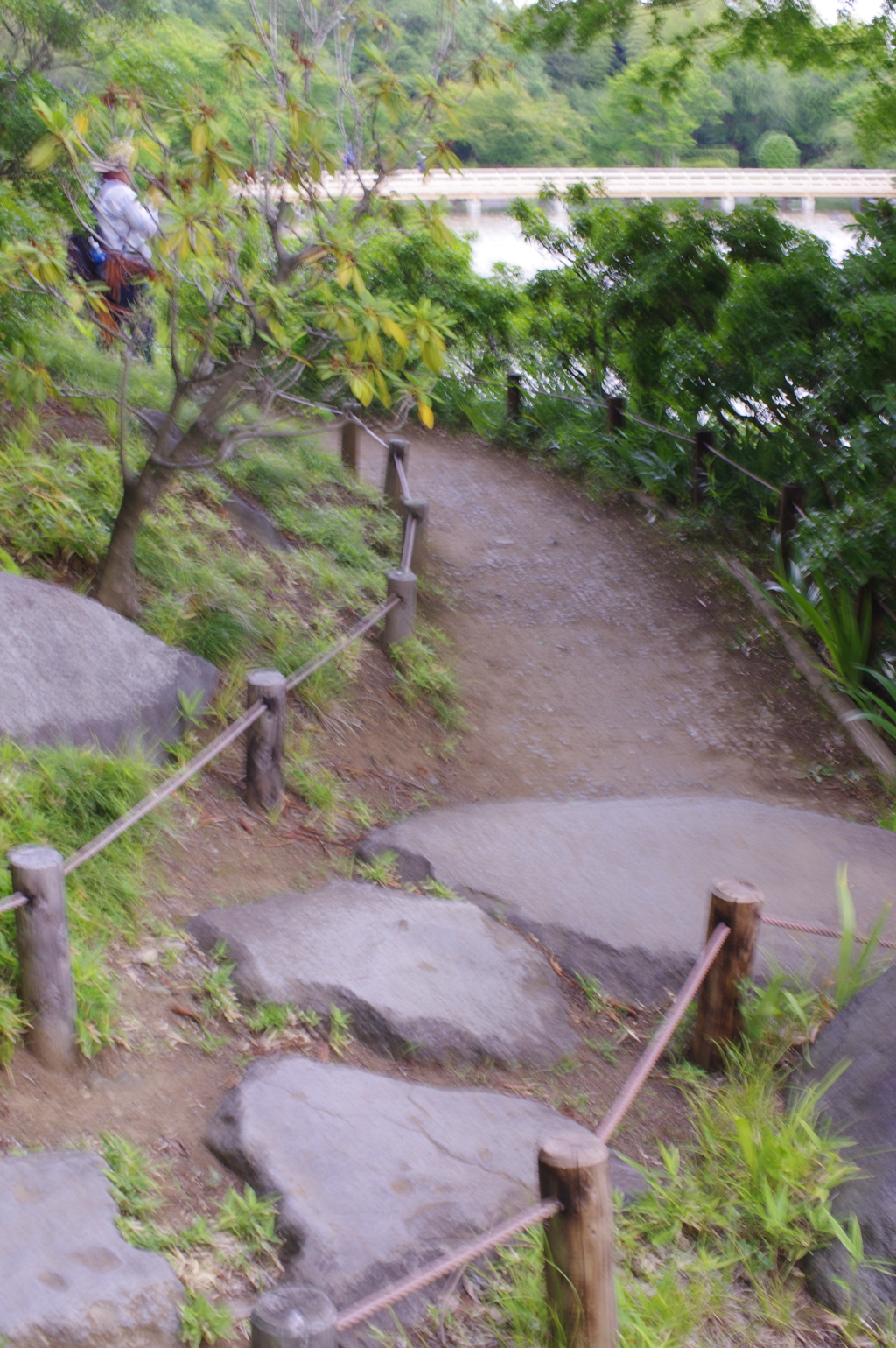 庭園の小道