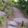 庭園の小道