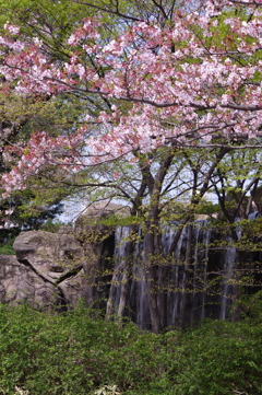 公園の滝　２
