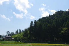 のどか