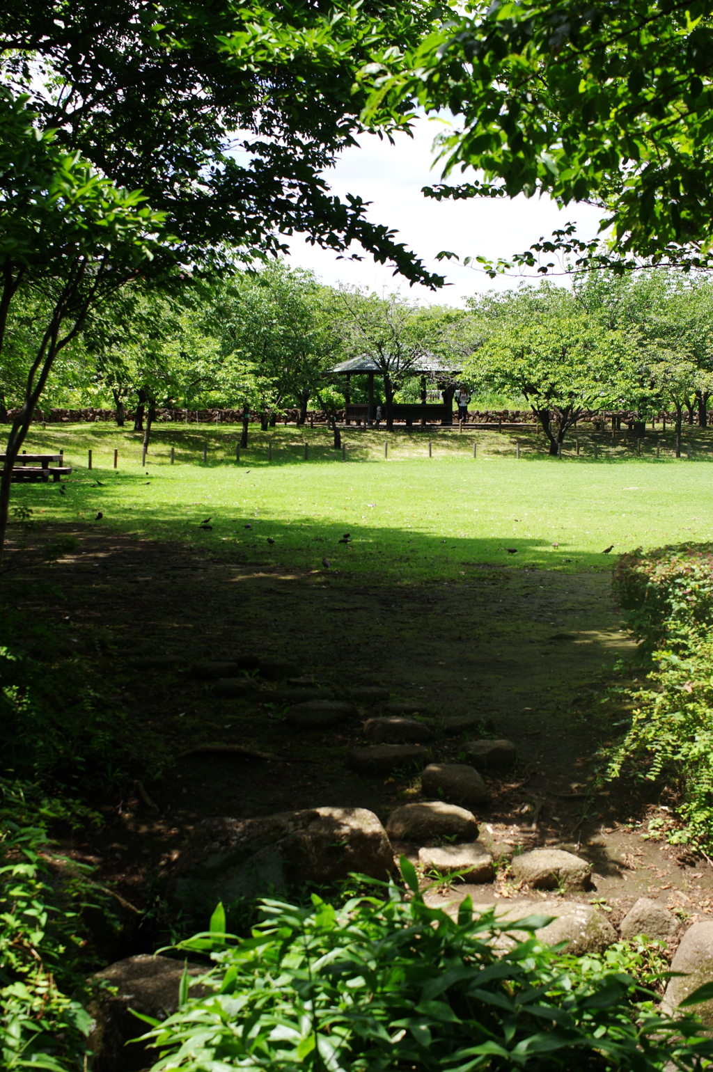 公園風景