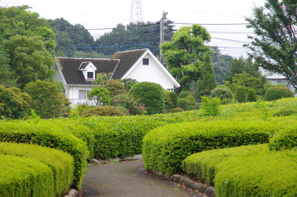 風景