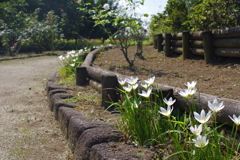 農業公園