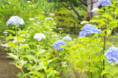 春の景色