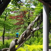 春景色
