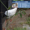 はずかしい