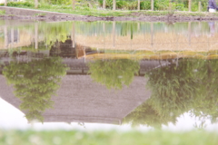 水面の風景