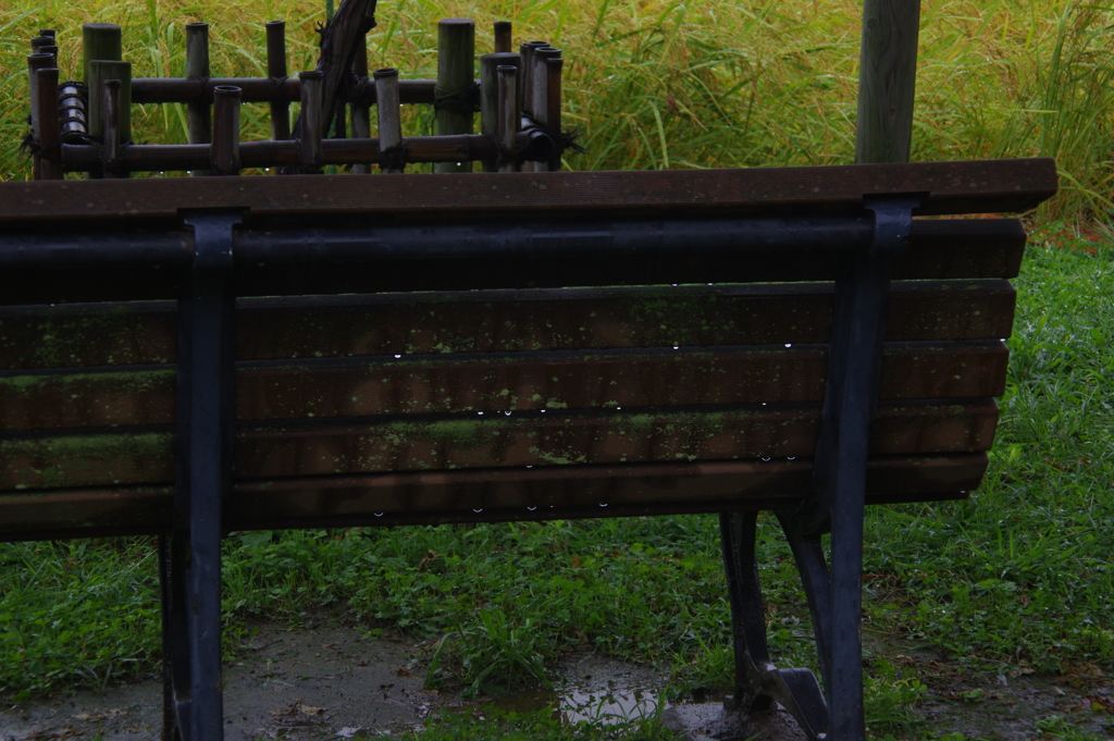 ひと雨ごとに