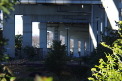 橋脚
