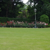 バラ園