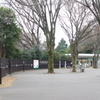 一般道と公園