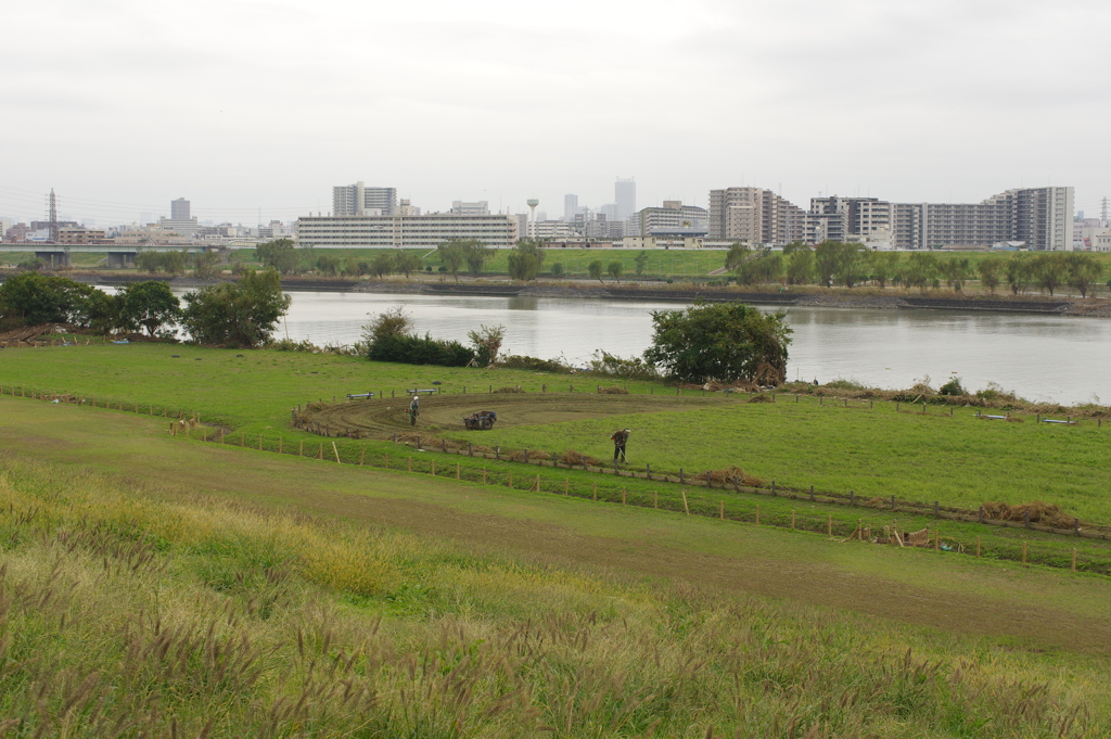 荒川河川敷と荒川