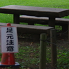皆さんきお付けて