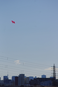 カイトで遊ぶ