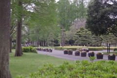 水元公園　２