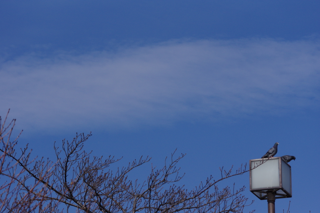 空