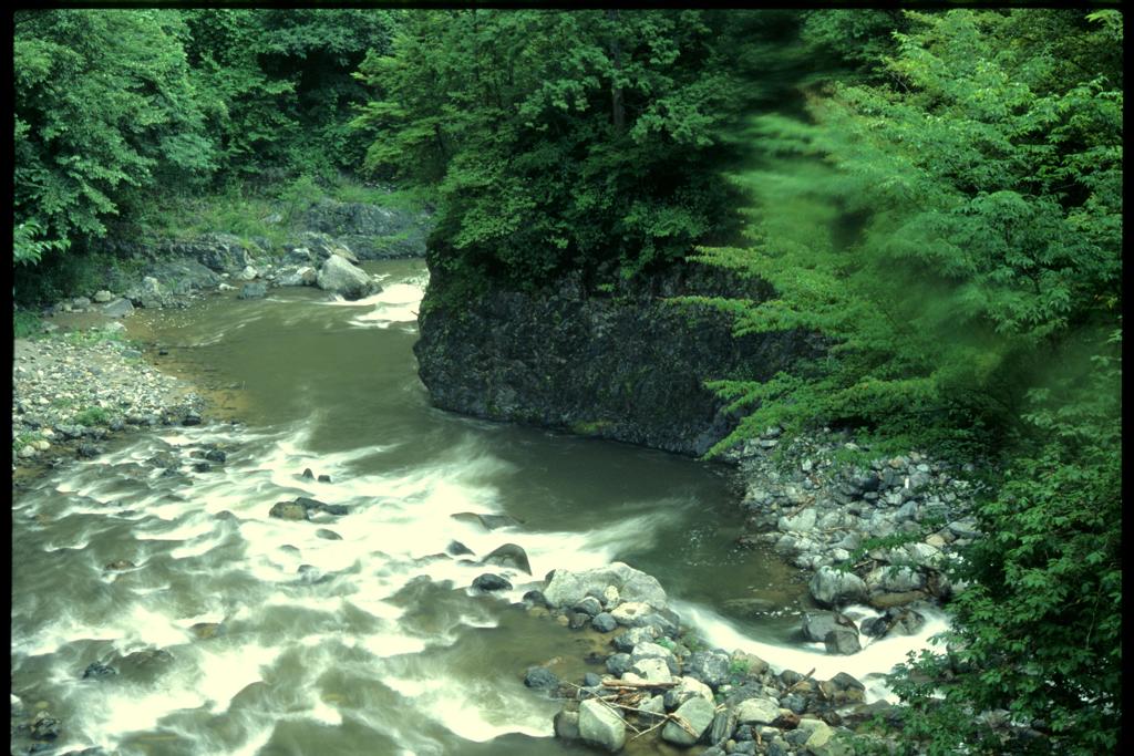 奥多摩の沢