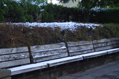 日陰