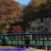 花壇広場