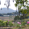 東屋からの風景　２