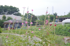 風景　２