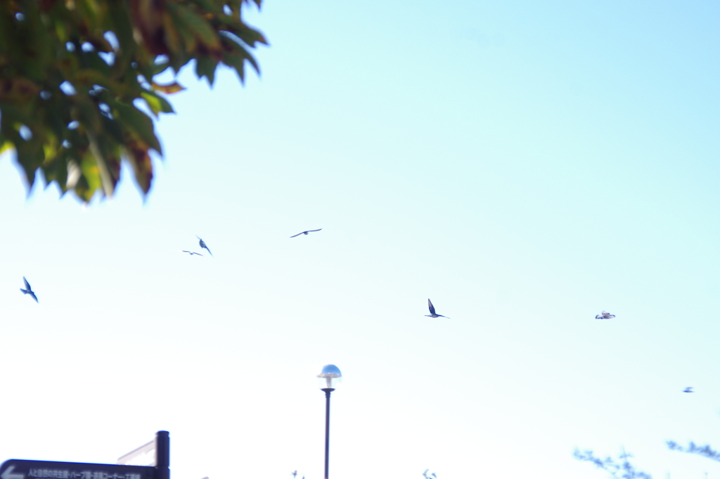 じゆうきままに