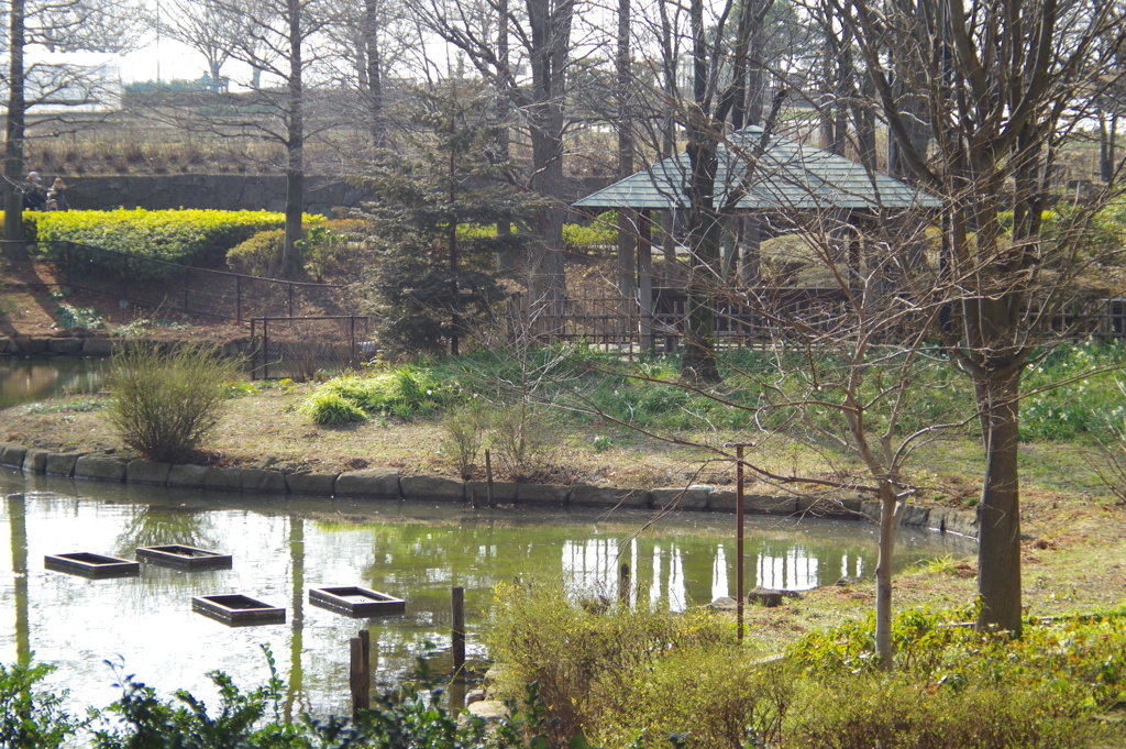 池からの風景　２