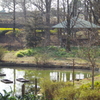 池からの風景　２